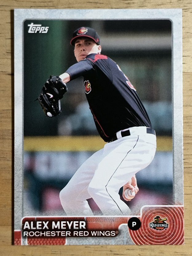 2015 Topps Pro Debut #108 Alex Meyer