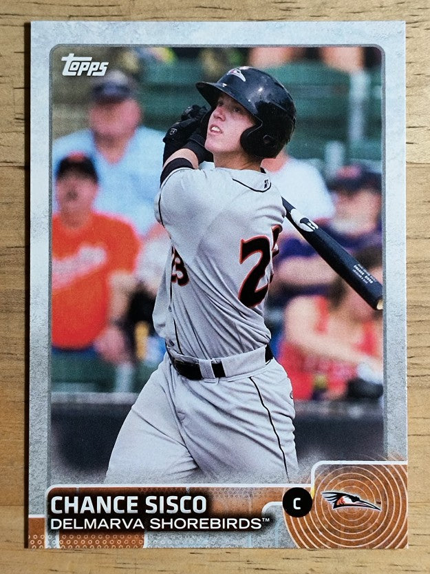 2015 Topps Pro Debut #194 Chance Sisco
