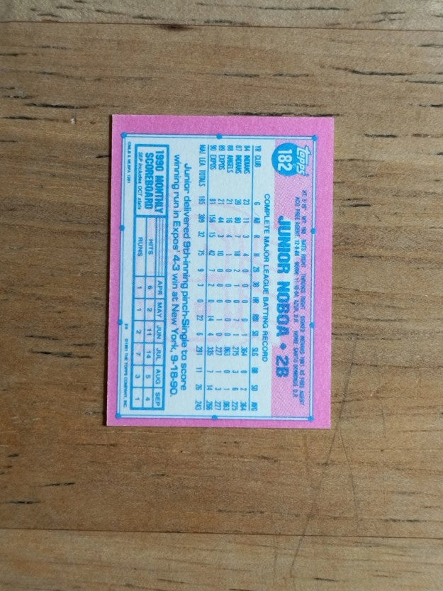 1991 Topps Micro #182 Junior Noboa