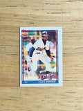 1991 Topps Micro #243 Lance Johnson