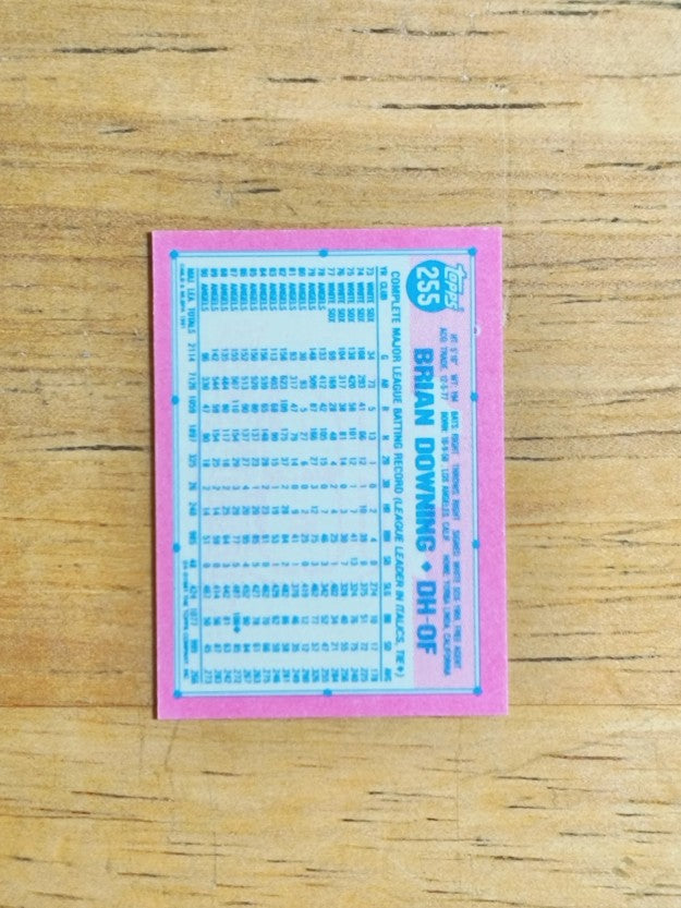 1991 Topps Micro #255 Brian Downing