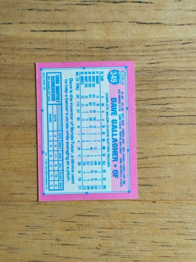 1991 Topps Micro #349 Dave Gallagher
