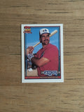 1991 Topps Micro #744 Nelson Santovenia