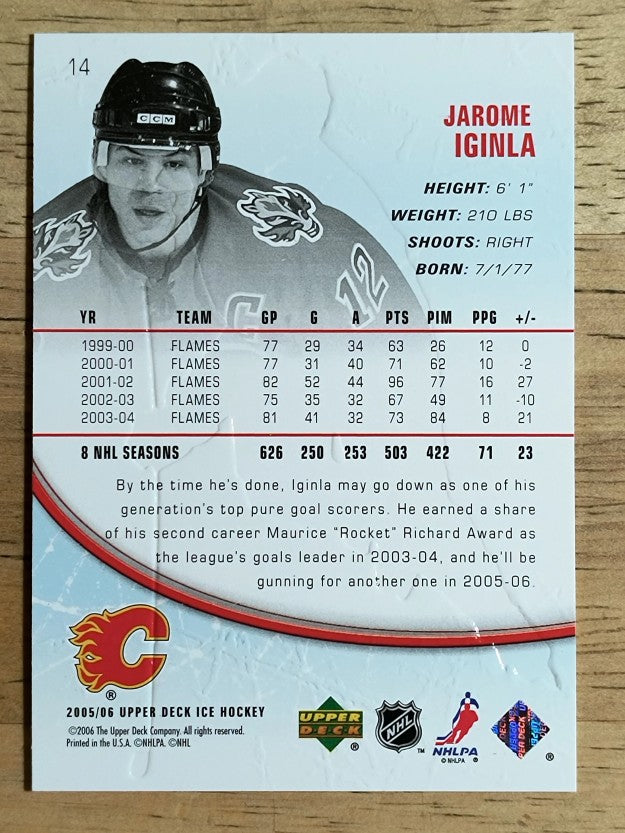 2005-06 Upper Deck Ice #14 Jarome Iginla