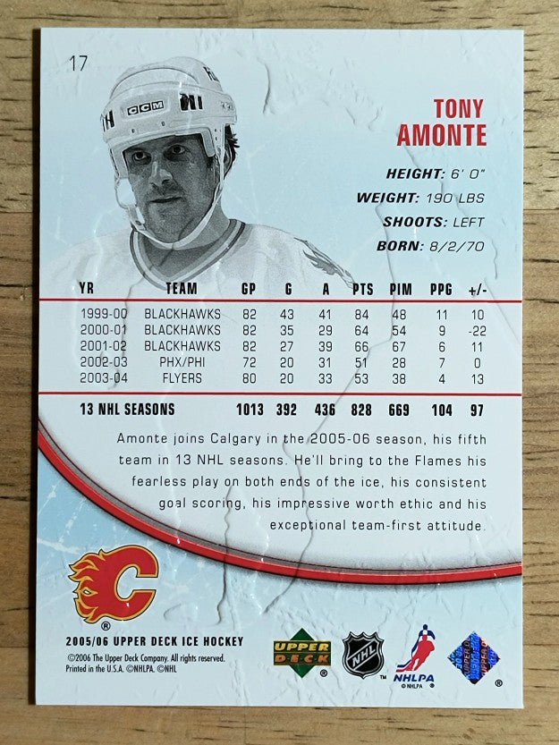 2005-06 Upper Deck Ice #17 Tony Amonte