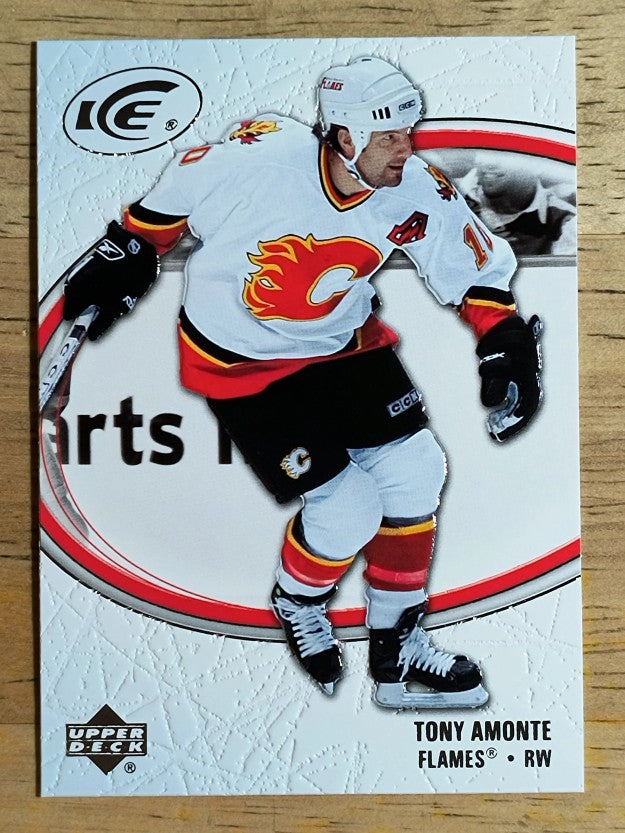 2005-06 Upper Deck Ice #17 Tony Amonte