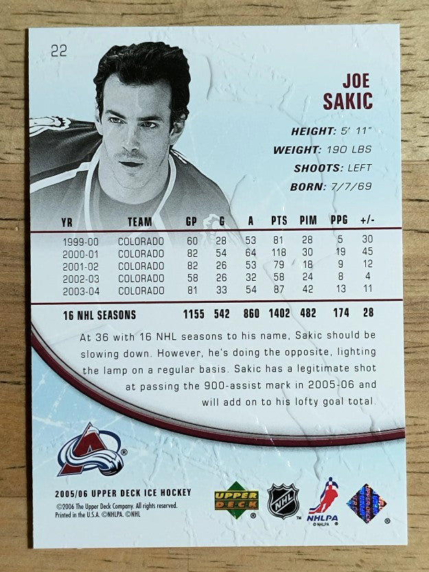 2005-06 Upper Deck Ice #22 Joe Sakic