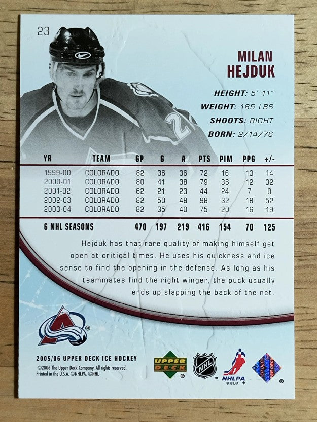 2005-06 Upper Deck Ice #23 Milan Hejduk
