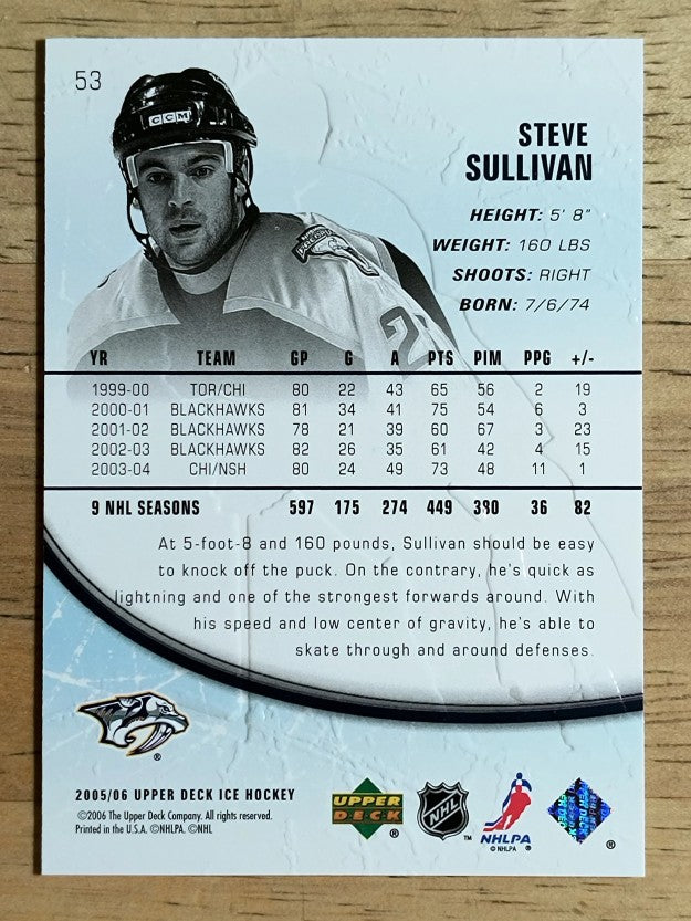 2005-06 Upper Deck Ice #53 Steve Sullivan
