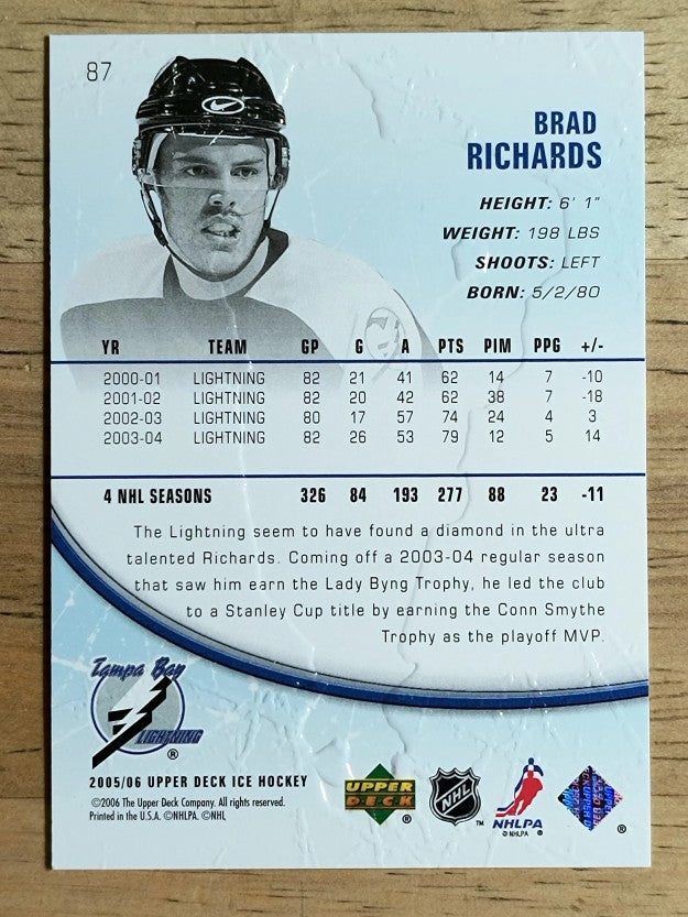 2005-06 Upper Deck Ice #87 Brad Richards