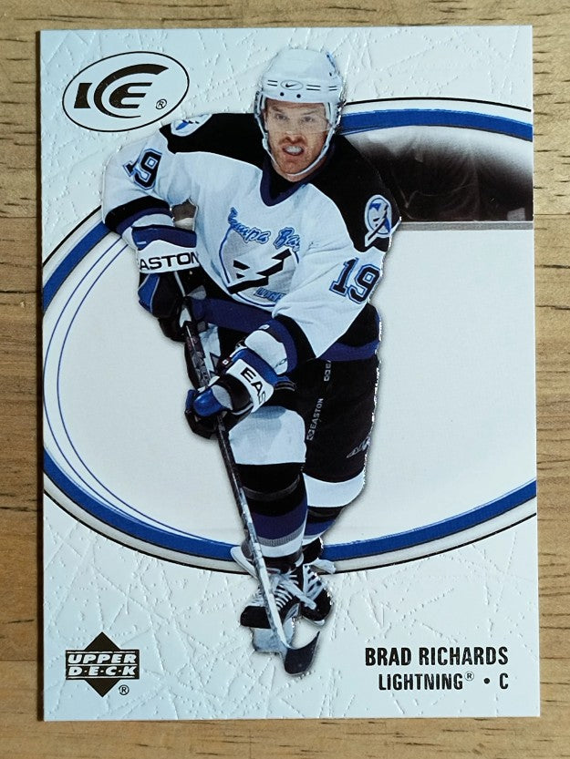 2005-06 Upper Deck Ice #87 Brad Richards