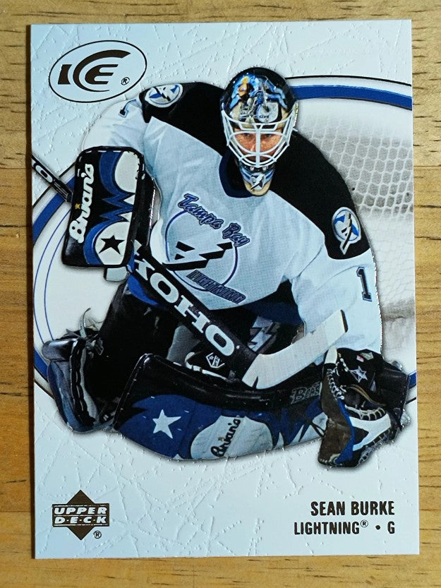 2005-06 Upper Deck Ice #88 Sean Burke