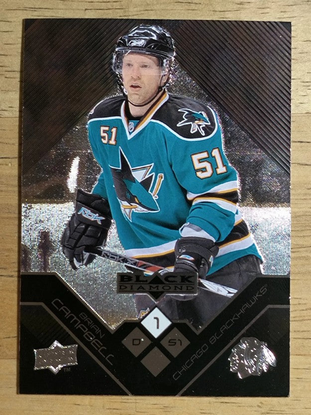 2008-09 Black Diamond #14 Brian Campbell