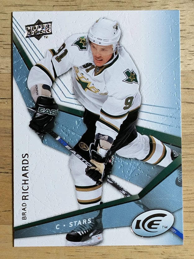 2008-09 Upper Deck Ice #8 Brad Richards