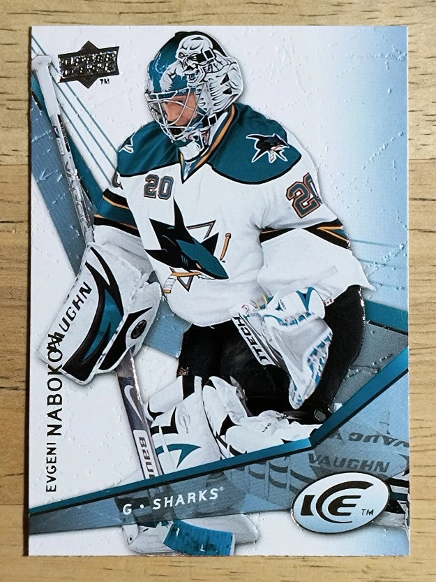 2008-09 Upper Deck Ice #28 Evgeni Nabokov