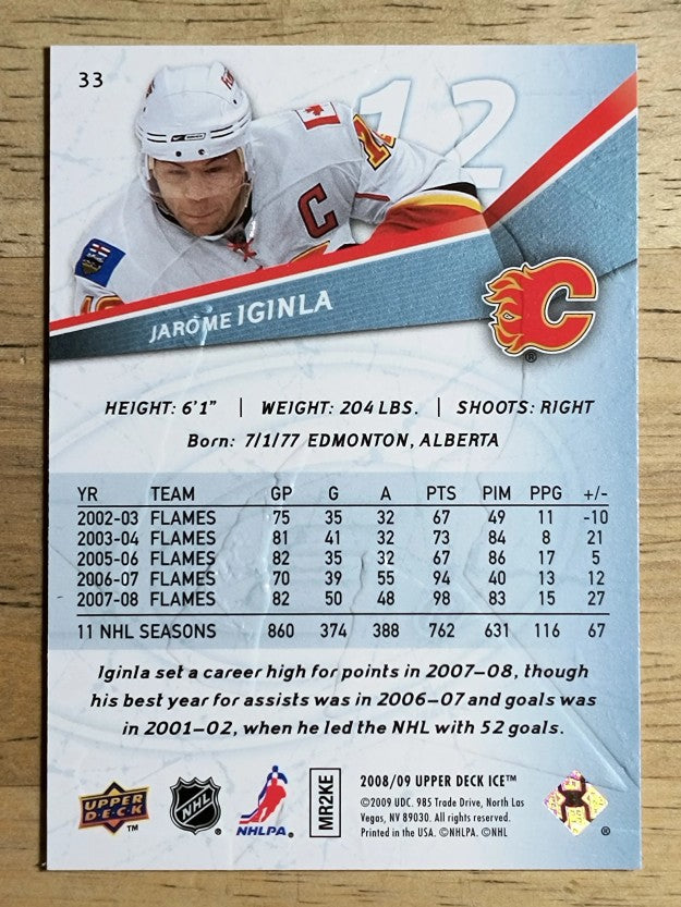2008-09 Upper Deck Ice #33 Jarome Iginla