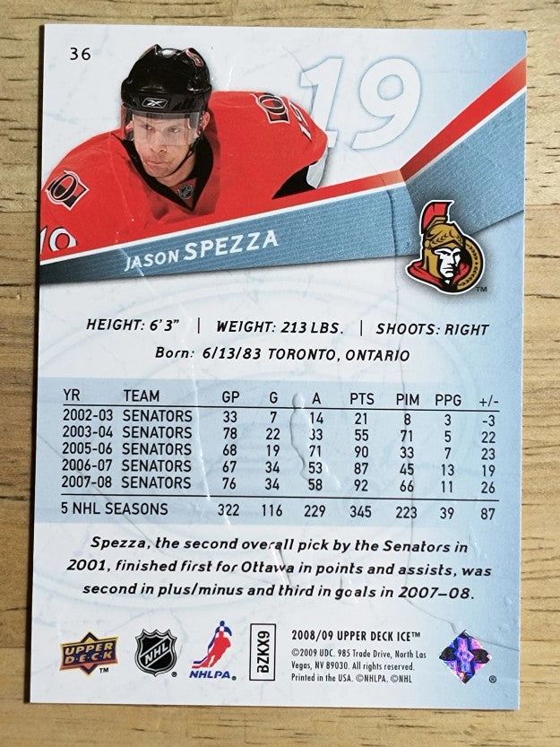 2008-09 Upper Deck Ice #36 Jason Spezza