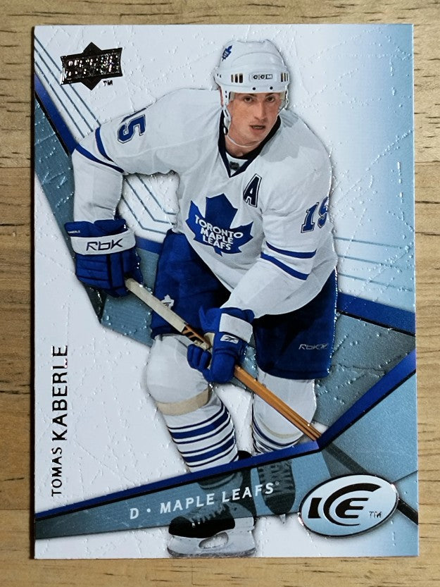 2008-09 Upper Deck Ice #94 Tomas Kaberle