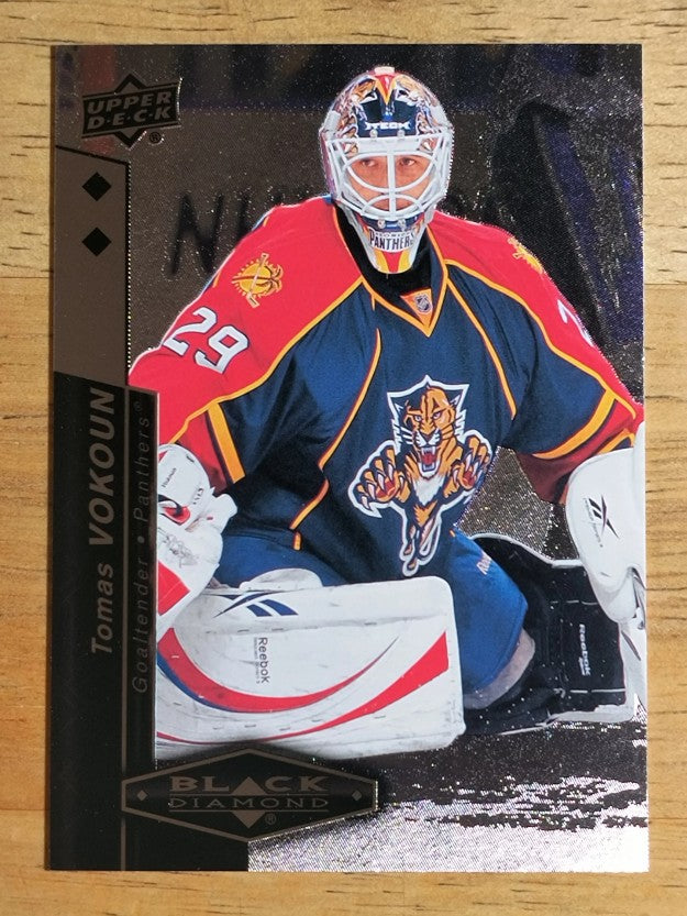 2010-11 Black Diamond #96 Tomas Vokoun
