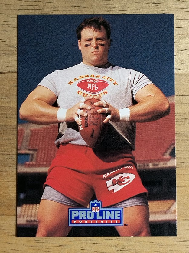 1991 Pro Line Portraits #239 Tim Grunhard