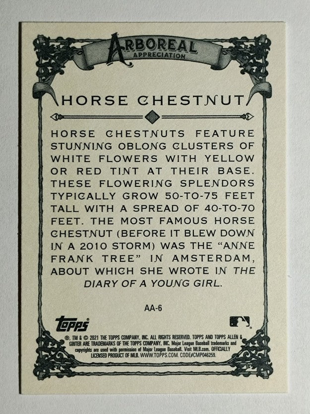 2021 Topps Allen and Ginter Arboreal Appreciation #AA6 Horse Chestnut