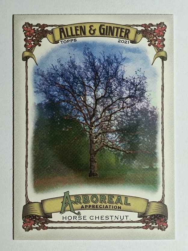 2021 Topps Allen and Ginter Arboreal Appreciation #AA6 Horse Chestnut