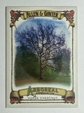 2021 Topps Allen and Ginter Arboreal Appreciation #AA6 Horse Chestnut