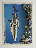 2021 Topps Allen and Ginter Deep Sea Shiver #DSS7 Lemon Shark