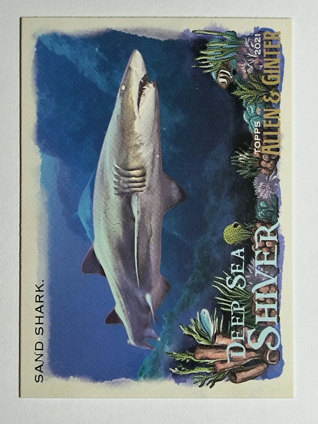 2021 Topps Allen and Ginter Deep Sea Shiver #DSS10 Sand Shark