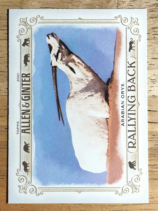 2021 Topps Allen and Ginter Rallying Back #RB4 Arabian Oryx