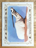 2021 Topps Allen and Ginter Rallying Back #RB4 Arabian Oryx