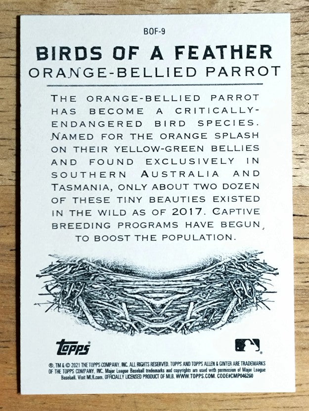 2021 Topps Allen and Ginter Birds of a Feather #BOF9 Orange-Bellied Parrot
