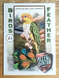 2021 Topps Allen and Ginter Birds of a Feather #BOF9 Orange-Bellied Parrot