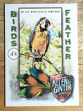 2021 Topps Allen and Ginter Birds of a Feather #BOF4 Blue-and-Gold Macaw