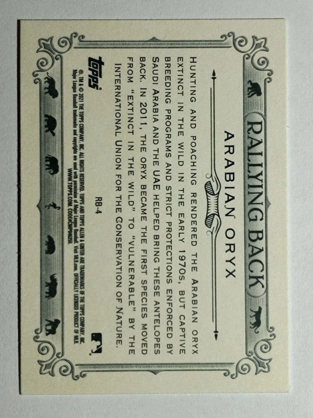2021 Topps Allen and Ginter Rallying Back #RB4 Arabian Oryx