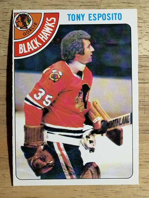 1978-79 O-Pee-Chee #250 Tony Esposito (EX)