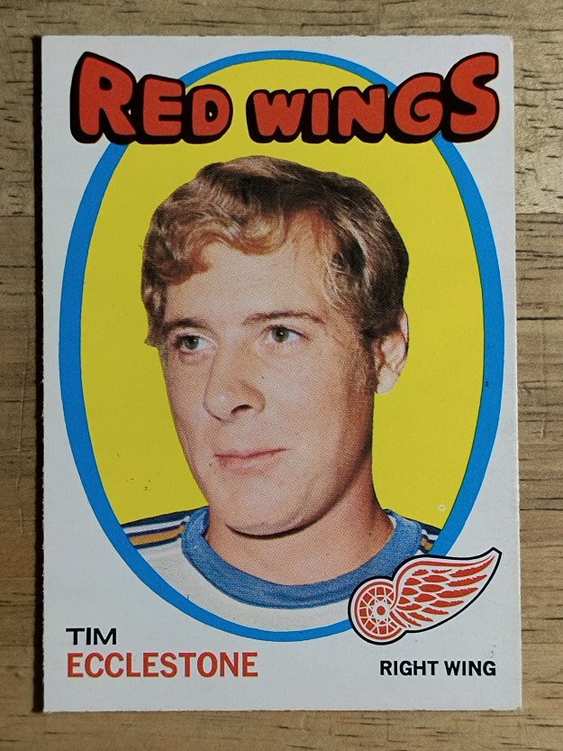 1971-72 O-Pee-Chee #52 Tim Ecclestone (EXMT)