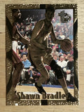 1994-95 Embossed Golden Idols #71 Shawn Bradley