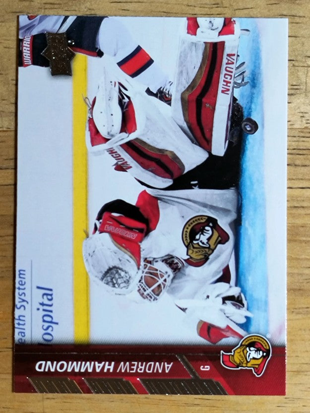 2015-16 Upper Deck #134 Andrew Hammond