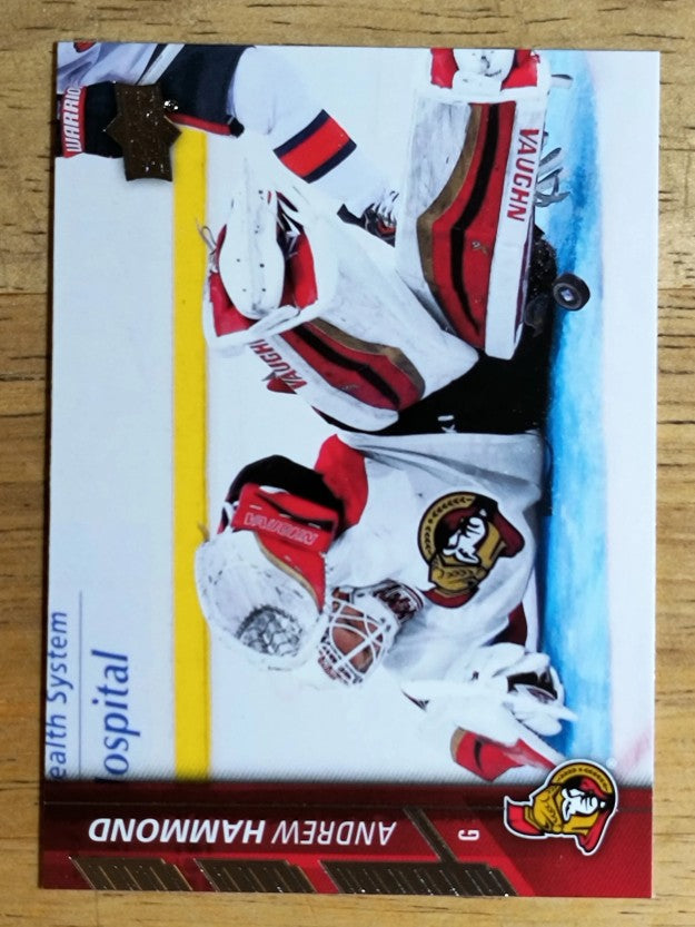 2015-16 Upper Deck #134 Andrew Hammond