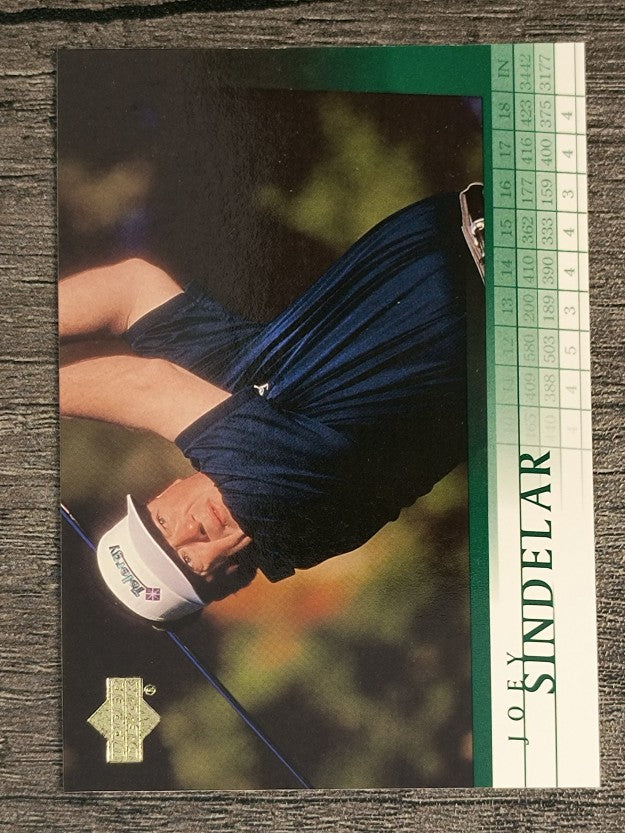 2001 Upper Deck #5 Joey Sindelar