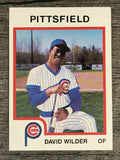 1987 Pittsfield Cubs ProCards #340 David Wilder