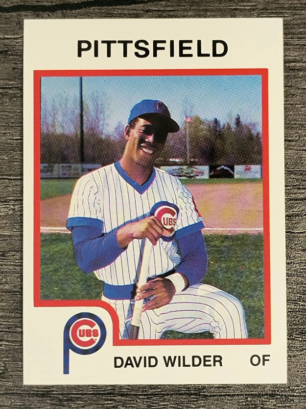 1987 Pittsfield Cubs ProCards #340 David Wilder