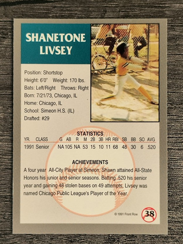 1991 Front Row Draft Picks #38 Shawn Livsey