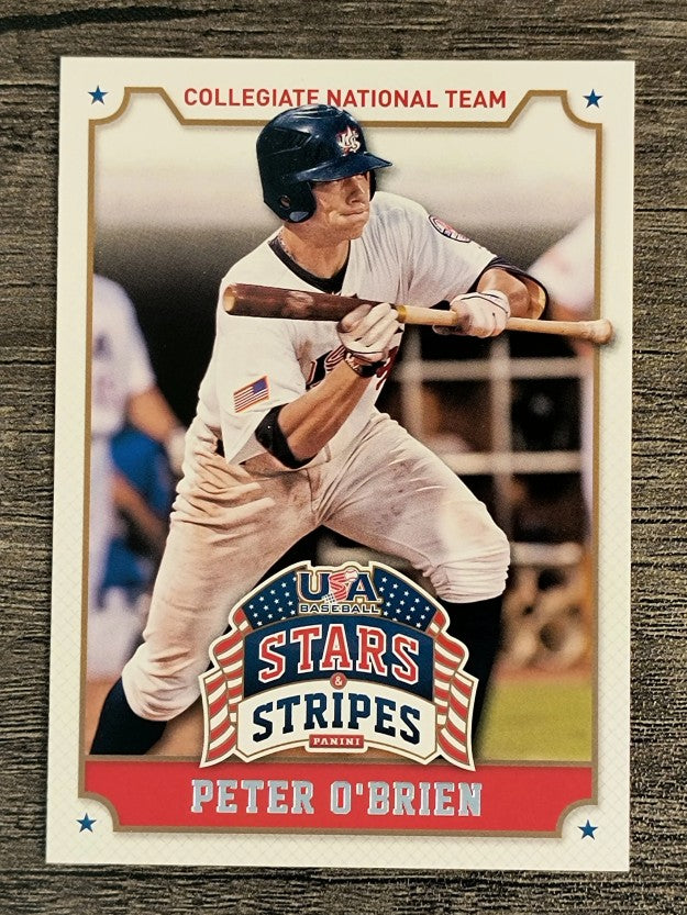 2015 USA Baseball Stars and Stripes #82 Peter O'Brien