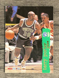 1995-96 Hoops #315 Terry Porter
