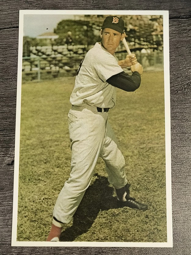 1982 TCMA Stars of the 50's #13 Ted Williams (NM)