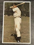 1982 TCMA Stars of the 50's #16 Joe DiMaggio (EXMT)