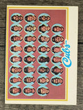 1978 Topps #302 Chicago Cubs CL (EX)