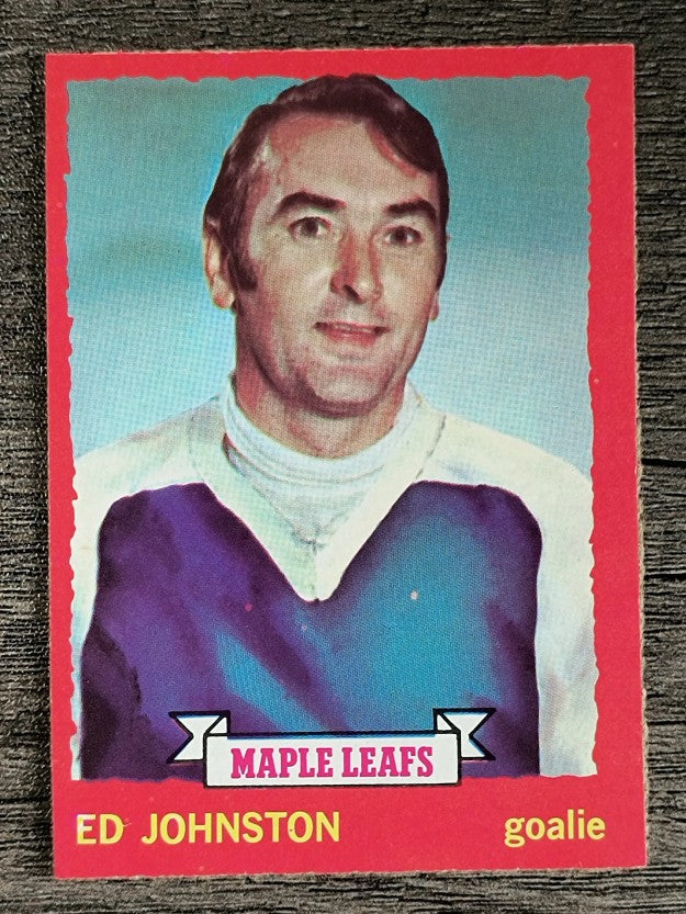 1973-74 O-Pee-Chee #23 Ed Johnston (VGEX)